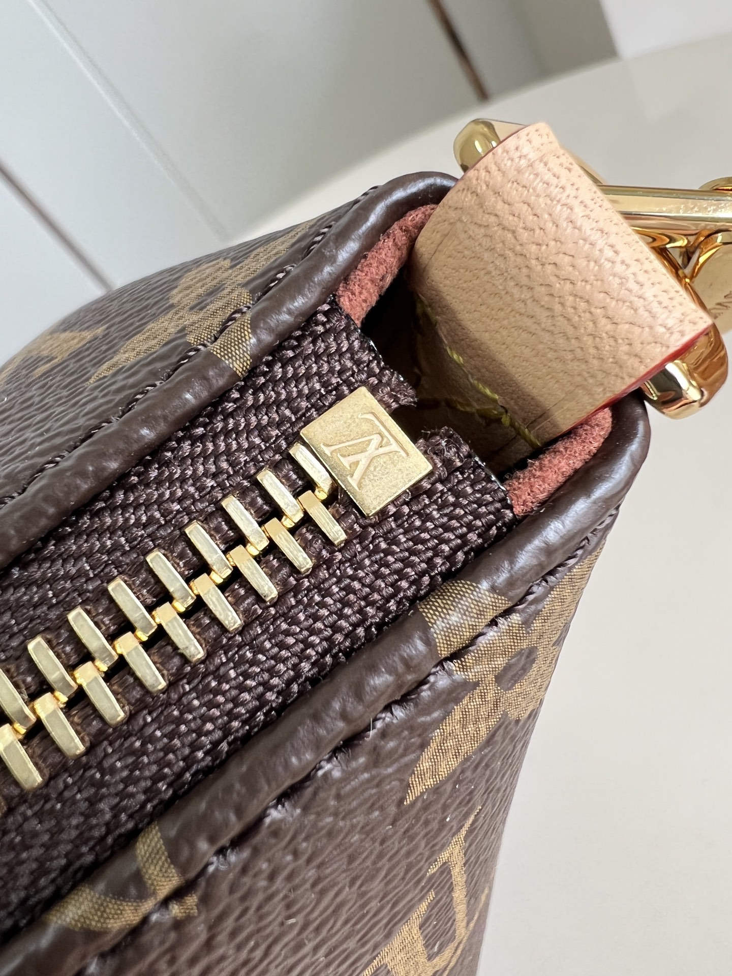 wsxc1762435465468_10